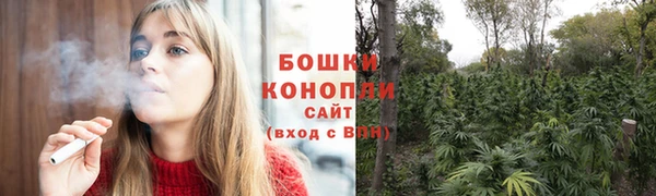 ПСИЛОЦИБИНОВЫЕ ГРИБЫ Заволжск