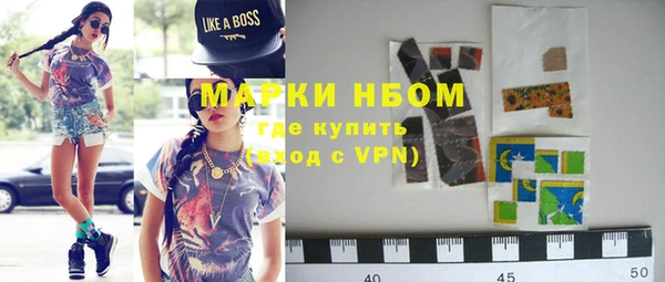 индика Заволжье