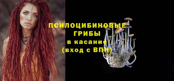 ПСИЛОЦИБИНОВЫЕ ГРИБЫ Заволжск