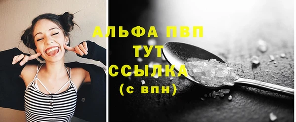 PSILOCYBIN Заводоуковск