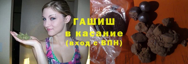 индика Заволжье