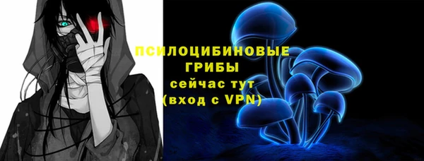 индика Заволжье