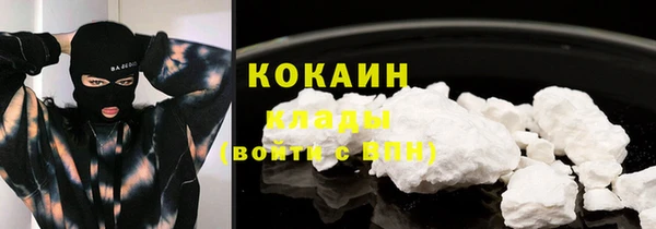 индика Заволжье