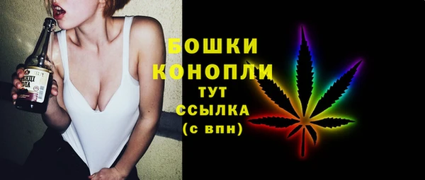 PSILOCYBIN Заводоуковск