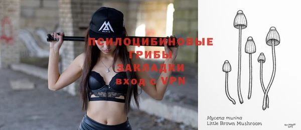 индика Заволжье