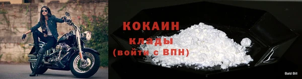 индика Заволжье