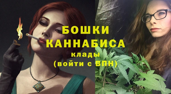 индика Заволжье