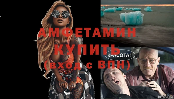 индика Заволжье