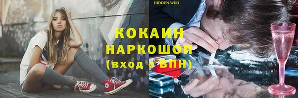 PSILOCYBIN Заводоуковск